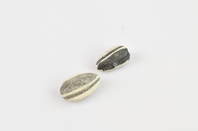 Lot 1315 - AI WEIWEI; two 'Sunflower Seeds' (Tate Modern...