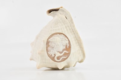Lot 2176 - A conch shell with carved motif of Medusa, 14cm.