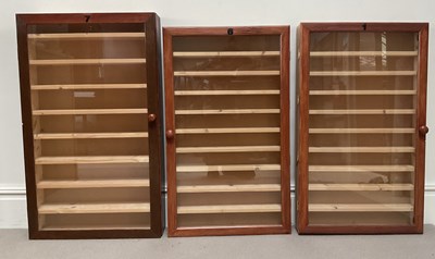 Lot 33 - Three modern stained pine hanging display...