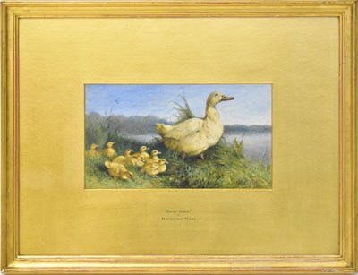 Lot 602 - HARRISON WEIR (1824-1906); watercolour, 'Early...