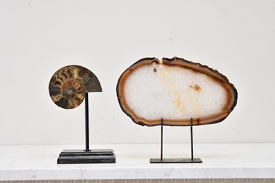 Lot 126 - A contemporary hardstone nautilus shell on...