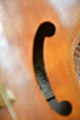 Lot 1047 - MICHAEL PLANT; a contemporary viol labelled 'A...