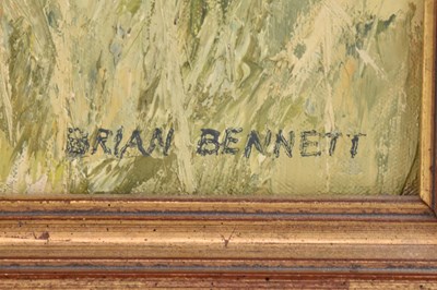 Lot 134 - BRIAN BENNETT; oil on canvas, 'Sowthistle on...
