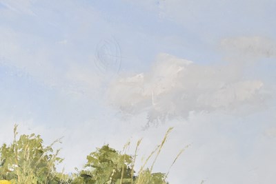 Lot 134 - BRIAN BENNETT; oil on canvas, 'Sowthistle on...